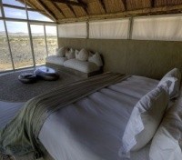 Little Kulala Lodge - Guest Room